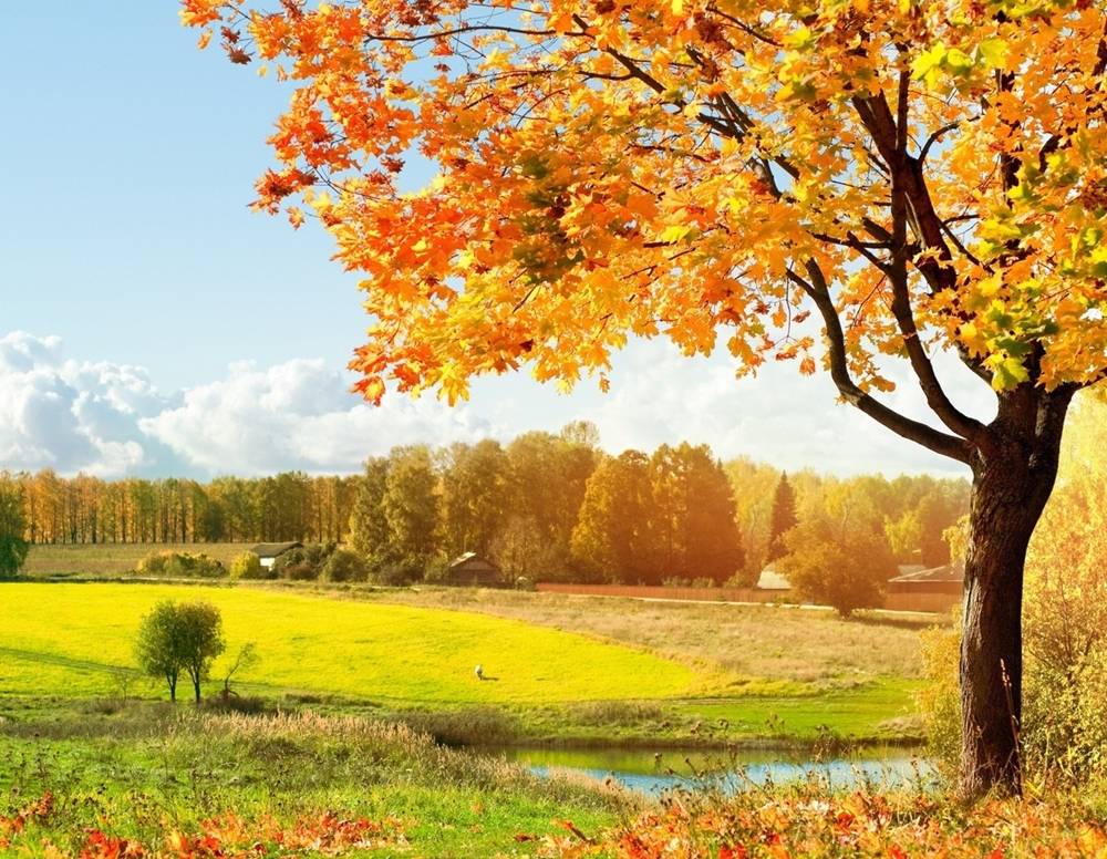 Season-(Spring-Autumn)HD-Wallpapers-Backgrounds ภาพพื้นหลัง พักหน้าจอ No.1