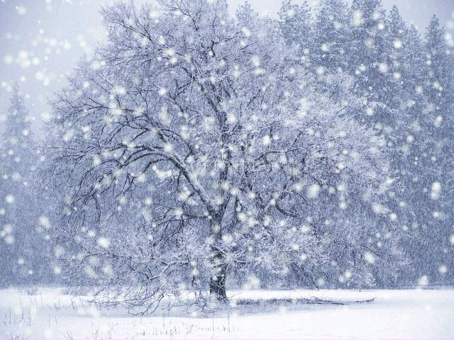 Season-(Winter-Snow-ฤดูหนาว-หิมะตก)HD-Wallpapers-Backgrounds ภาพพื้นหลัง พักหน้าจอ No.39
