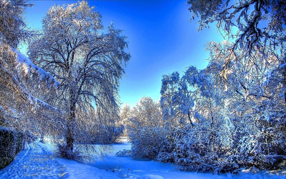 Season-(Winter-Snow-ฤดูหนาว-หิมะตก)HD-Wallpapers-Backgrounds ภาพพื้นหลัง พักหน้าจอ No.40