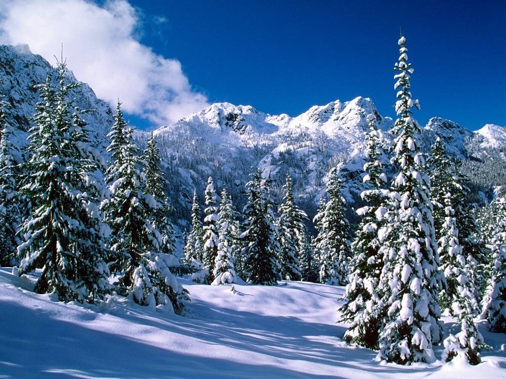 Season-(Winter-Snow-ฤดูหนาว-หิมะตก)HD-Wallpapers-Backgrounds ภาพพื้นหลัง พักหน้าจอ No.40