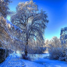 Season-(Winter-Snow-ฤดูหนาว-หิมะตก)HD-Wallpapers-Backgrounds ภาพพื้นหลัง พักหน้าจอ No.41