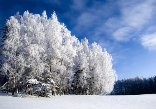 Season-(Winter-Snow-ฤดูหนาว-หิมะตก)HD-Wallpapers-Backgrounds ภาพพื้นหลัง พักหน้าจอ No.41