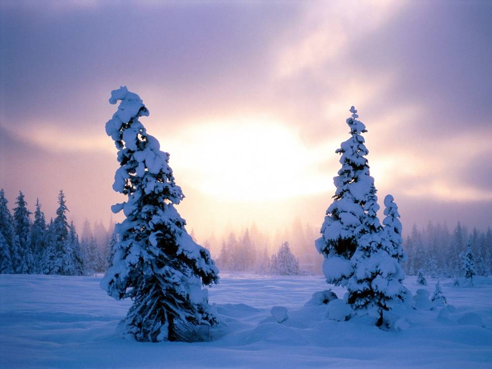 Season-(Winter-Snow-ฤดูหนาว-หิมะตก)HD-Wallpapers-Backgrounds ภาพพื้นหลัง พักหน้าจอ No.43