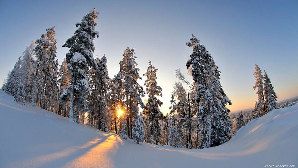 Season-(Winter-Snow-ฤดูหนาว-หิมะตก)HD-Wallpapers-Backgrounds ภาพพื้นหลัง พักหน้าจอ No.43