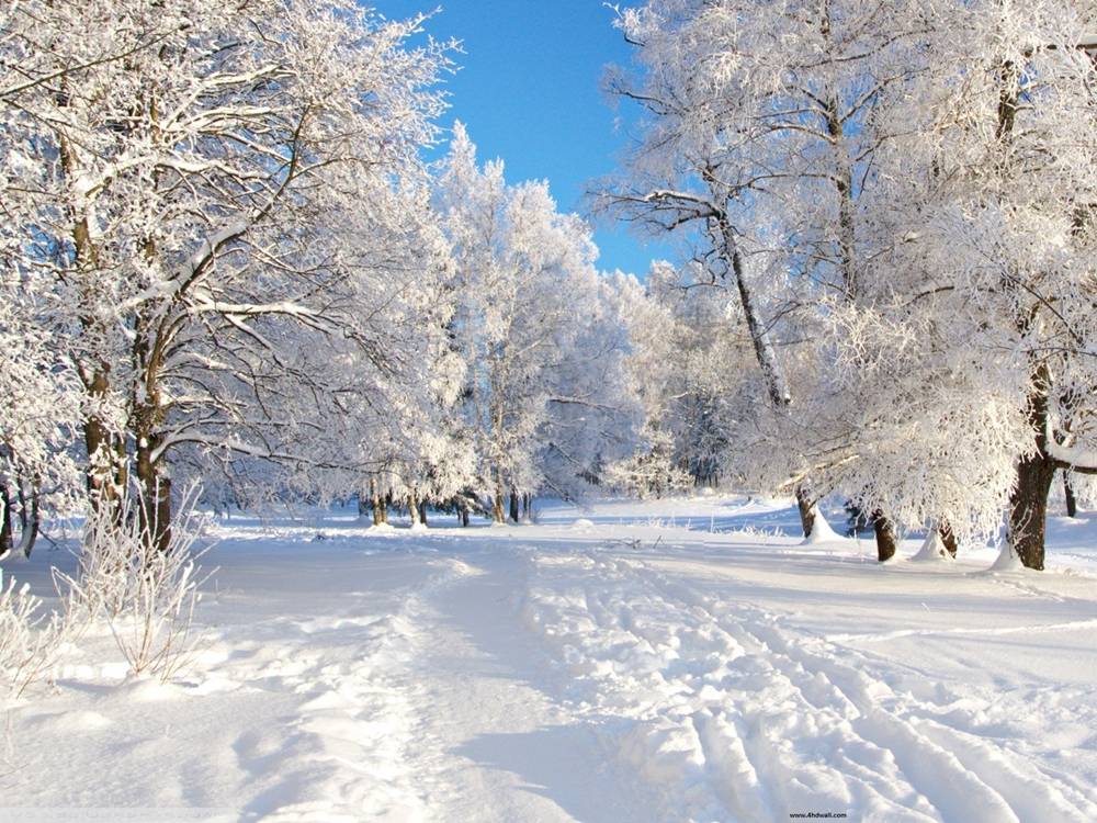 Season-(Winter-Snow-ฤดูหนาว-หิมะตก)HD-Wallpapers-Backgrounds ภาพพื้นหลัง พักหน้าจอ No.44