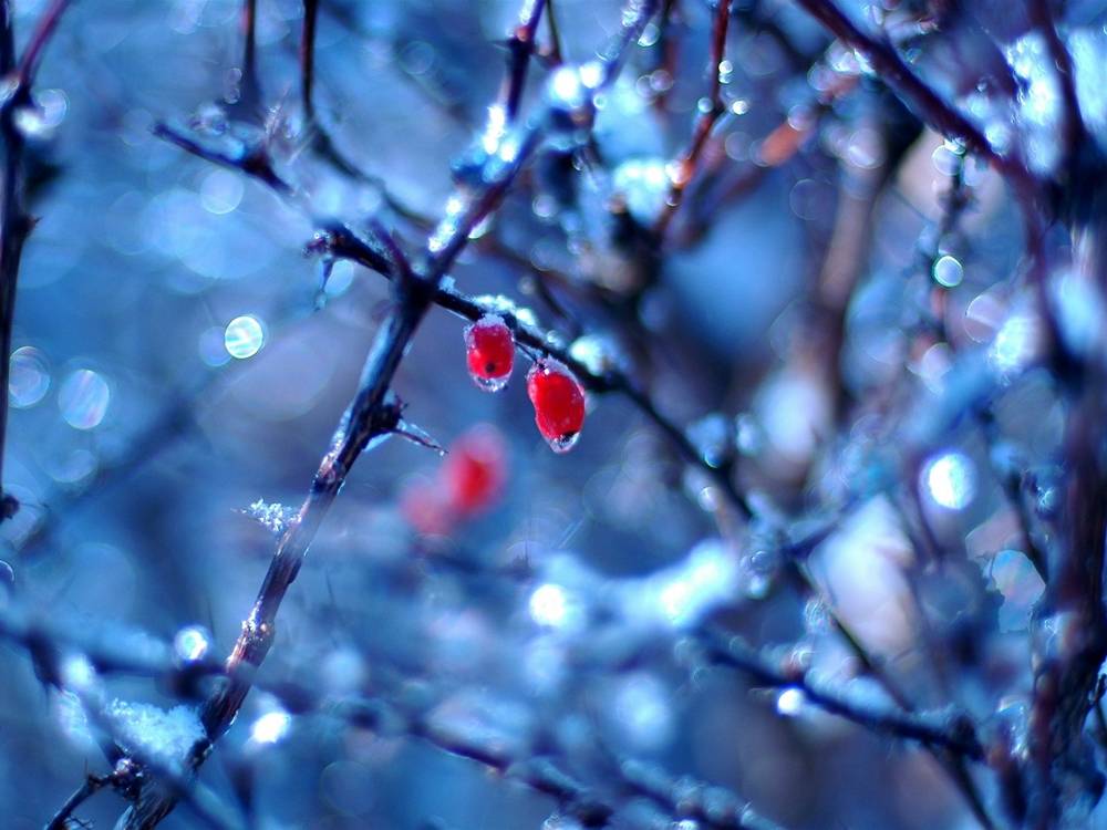 Season-(Winter-Snow-ฤดูหนาว-หิมะตก)HD-Wallpapers-Backgrounds ภาพพื้นหลัง พักหน้าจอ No.45