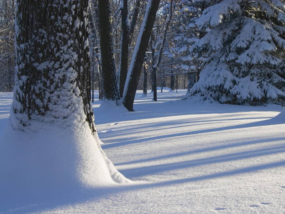 Season-(Winter-Snow-ฤดูหนาว-หิมะตก)HD-Wallpapers-Backgrounds ภาพพื้นหลัง พักหน้าจอ No.45
