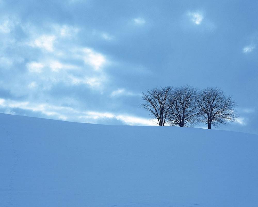 Season-(Winter-Snow-ฤดูหนาว-หิมะตก)HD-Wallpapers-Backgrounds ภาพพื้นหลัง พักหน้าจอ No.46