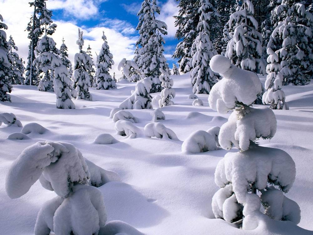 Season-(Winter-Snow-ฤดูหนาว-หิมะตก)HD-Wallpapers-Backgrounds ภาพพื้นหลัง พักหน้าจอ No.47