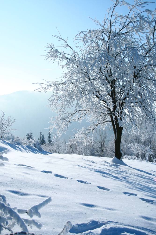 Season-(Winter-Snow-ฤดูหนาว-หิมะตก)HD-Wallpapers-Backgrounds ภาพพื้นหลัง พักหน้าจอ No.48