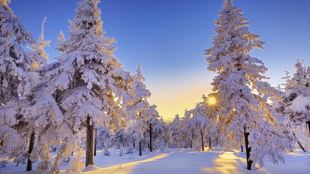 Season-(Winter-Snow-ฤดูหนาว-หิมะตก)HD-Wallpapers-Backgrounds ภาพพื้นหลัง พักหน้าจอ No.49