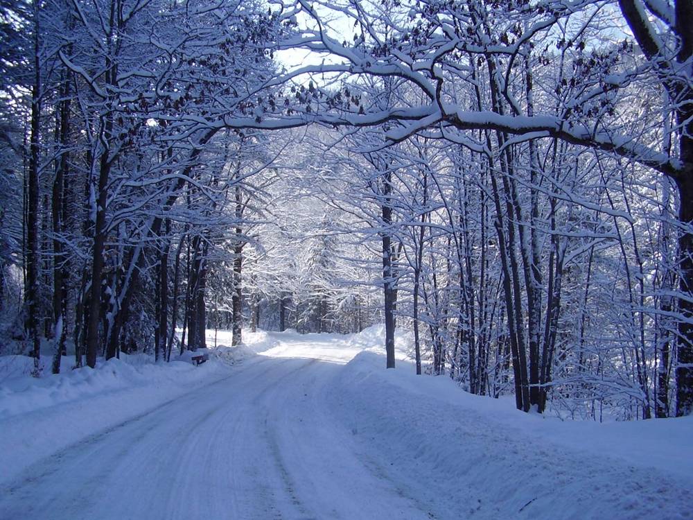 Season-(Winter-Snow-ฤดูหนาว-หิมะตก)HD-Wallpapers-Backgrounds ภาพพื้นหลัง พักหน้าจอ No.50