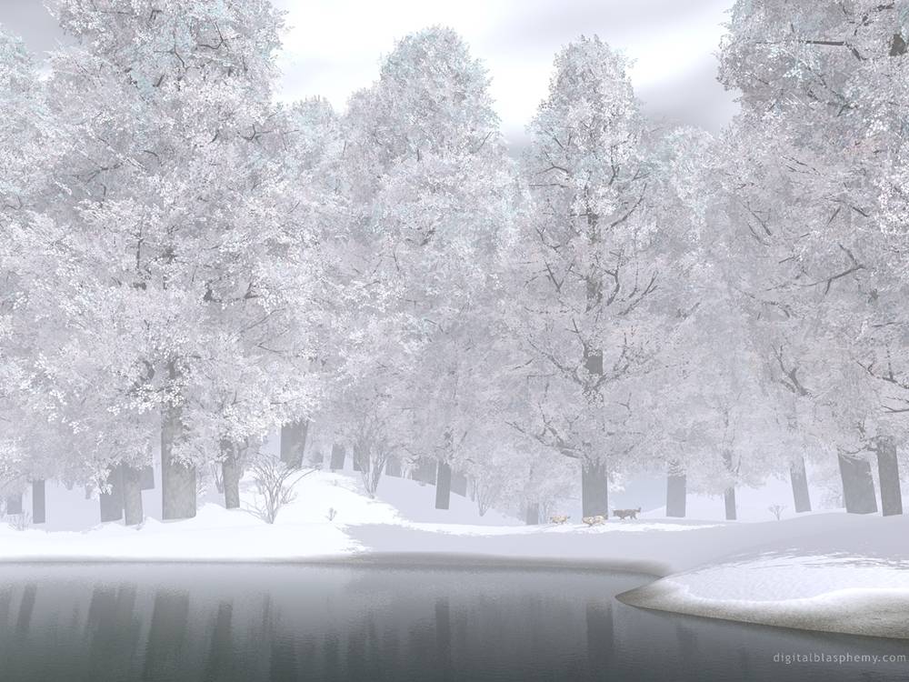 Season-(Winter-Snow-ฤดูหนาว-หิมะตก)HD-Wallpapers-Backgrounds ภาพพื้นหลัง พักหน้าจอ No.50