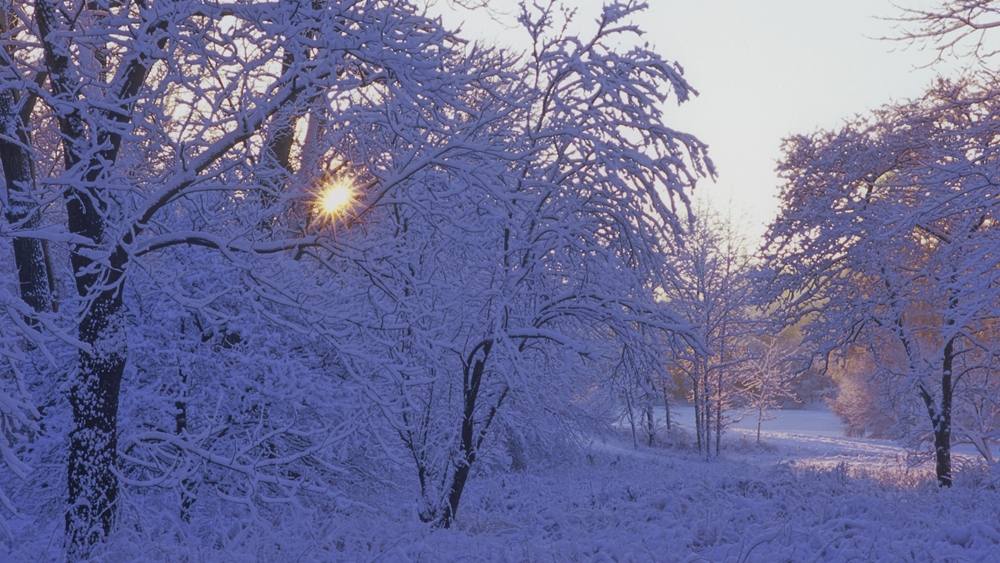 Season-(Winter-Snow-ฤดูหนาว-หิมะตก)HD-Wallpapers-Backgrounds ภาพพื้นหลัง พักหน้าจอ No.51