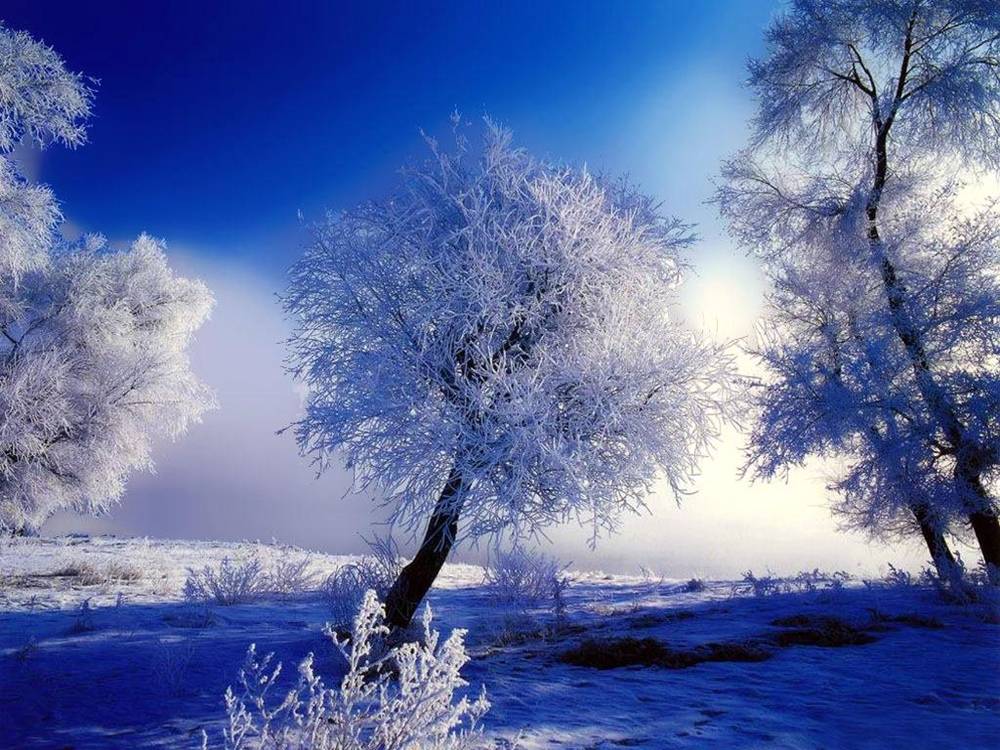 Season-(Winter-Snow-ฤดูหนาว-หิมะตก)HD-Wallpapers-Backgrounds ภาพพื้นหลัง พักหน้าจอ No.51