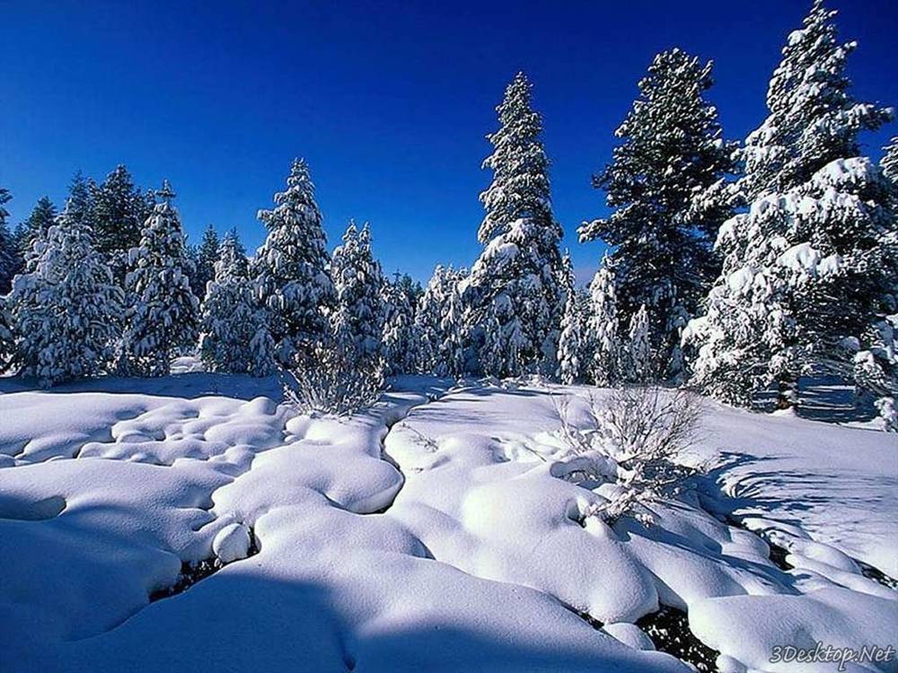 Season-(Winter-Snow-ฤดูหนาว-หิมะตก)HD-Wallpapers-Backgrounds ภาพพื้นหลัง พักหน้าจอ No.52