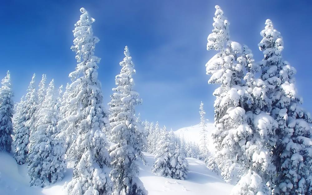 Season-(Winter-Snow-ฤดูหนาว-หิมะตก)HD-Wallpapers-Backgrounds ภาพพื้นหลัง พักหน้าจอ No.53