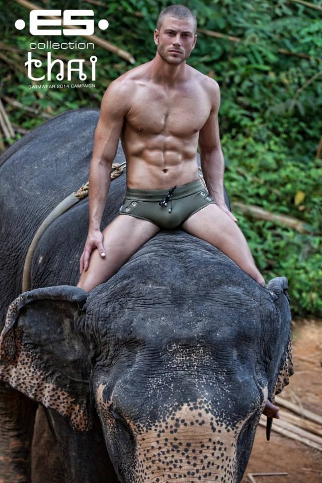 ES Collection 2014 "THAI" Set 1