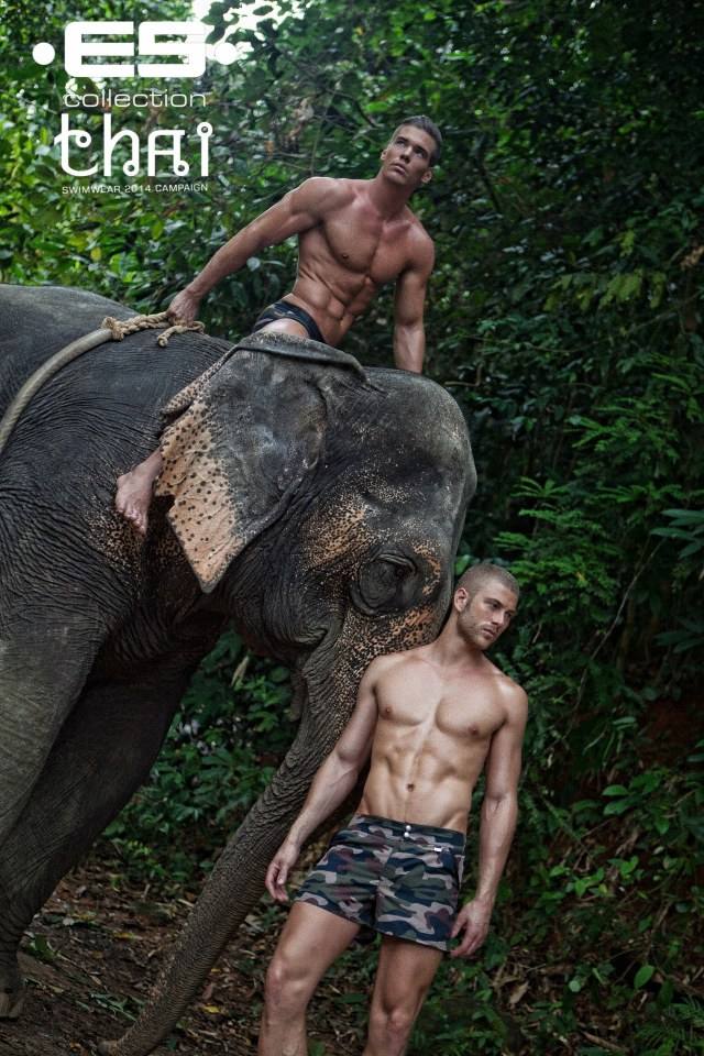 ES Collection 2014 "THAI" Set 1