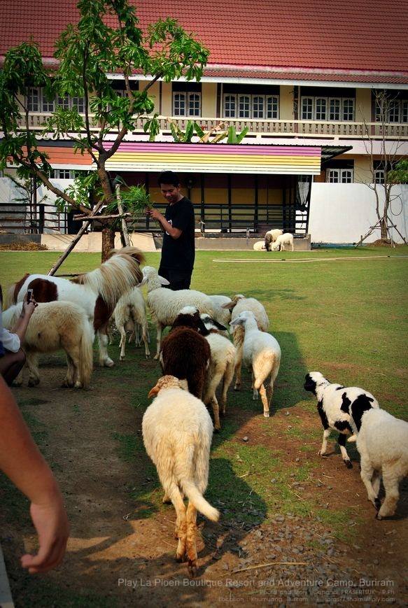 “เพ ลา เพลิน” พาเพลินในอุทยานดอกไม้มาแรงแห่งภาคอีสาน