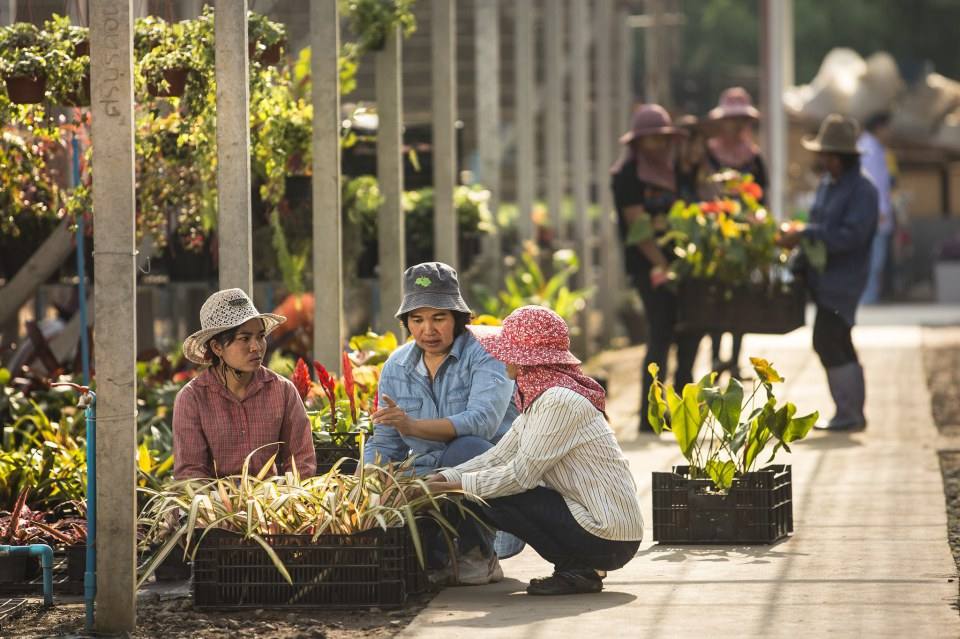 “เพ ลา เพลิน” พาเพลินในอุทยานดอกไม้มาแรงแห่งภาคอีสาน