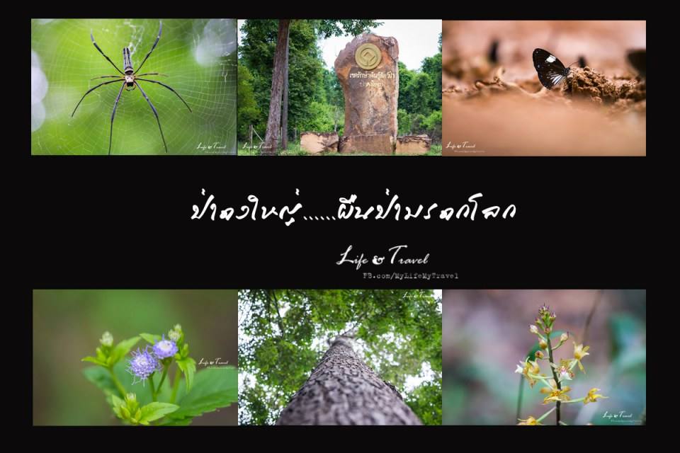 บุรีรัมย์ เมืองท่องเที่ยวใหม่ ไปกันหรือยัง?(ตอนธรรมชาติสรรค์สร้าง)