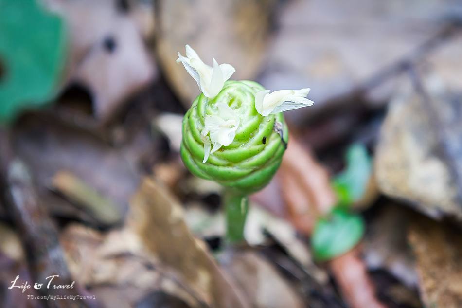 บุรีรัมย์ เมืองท่องเที่ยวใหม่ ไปกันหรือยัง?(ตอนธรรมชาติสรรค์สร้าง)