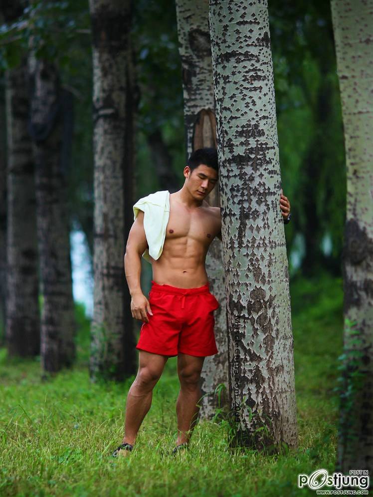 พี่ล่ำหมีฉ้าน