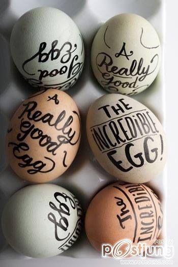 เปลือกไข่ Amazing Egg
