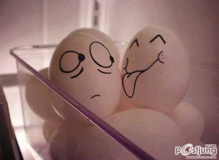 เปลือกไข่ Amazing Egg