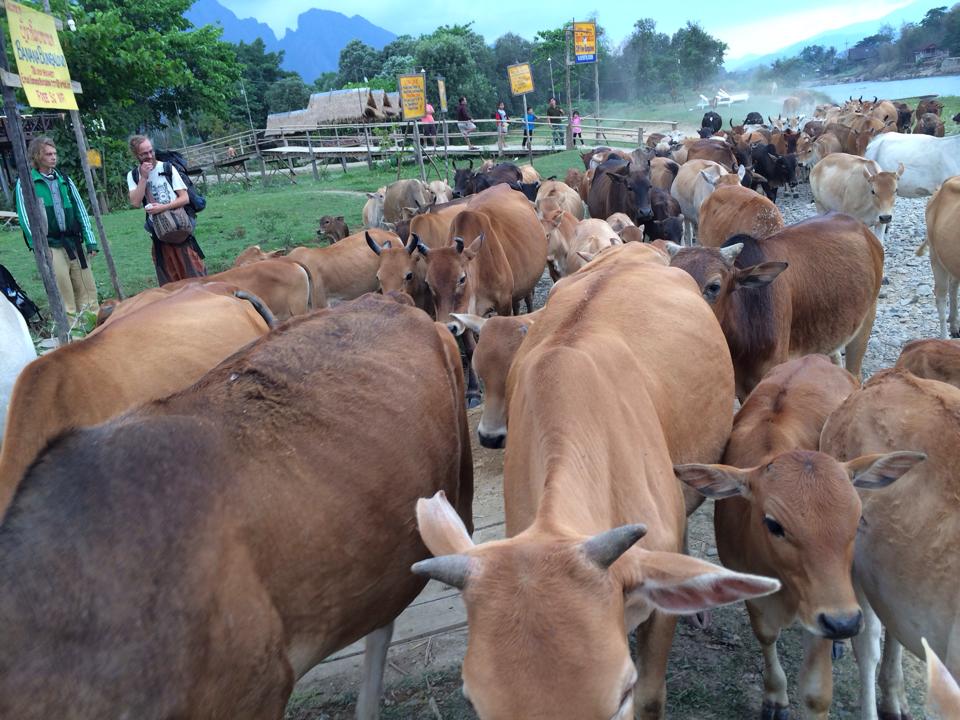 ຂອບໃຈເດີ້້ທີ່ມາທ່ຽວລາວ ขอบใจเด้อที่มาเทื่ยวลาว,โอกาสหน้าข้อยกะชิไปเที่ยวไทยคือกัน