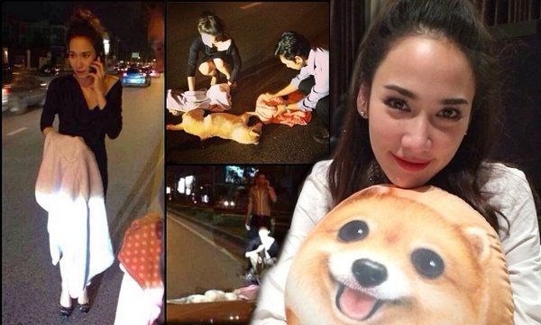 งามทั้งกายทั้งใจ โปรโมทงานตัวเอง ไม่สำคัญเท่า ช่วยสุนัขจรจัด!!