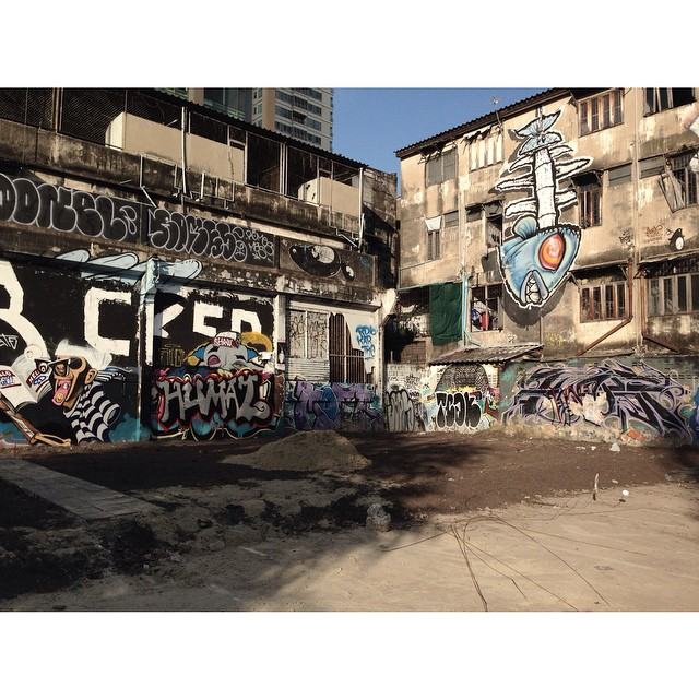 รวม Pakinball จากชะนีในป่าใหญ่