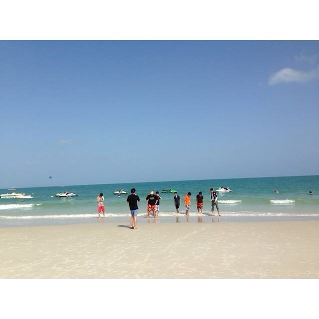 รวม Pakinball จากชะนีในป่าใหญ่