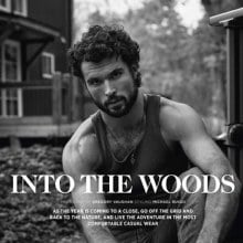 Greg Vaughan : Into The Woods