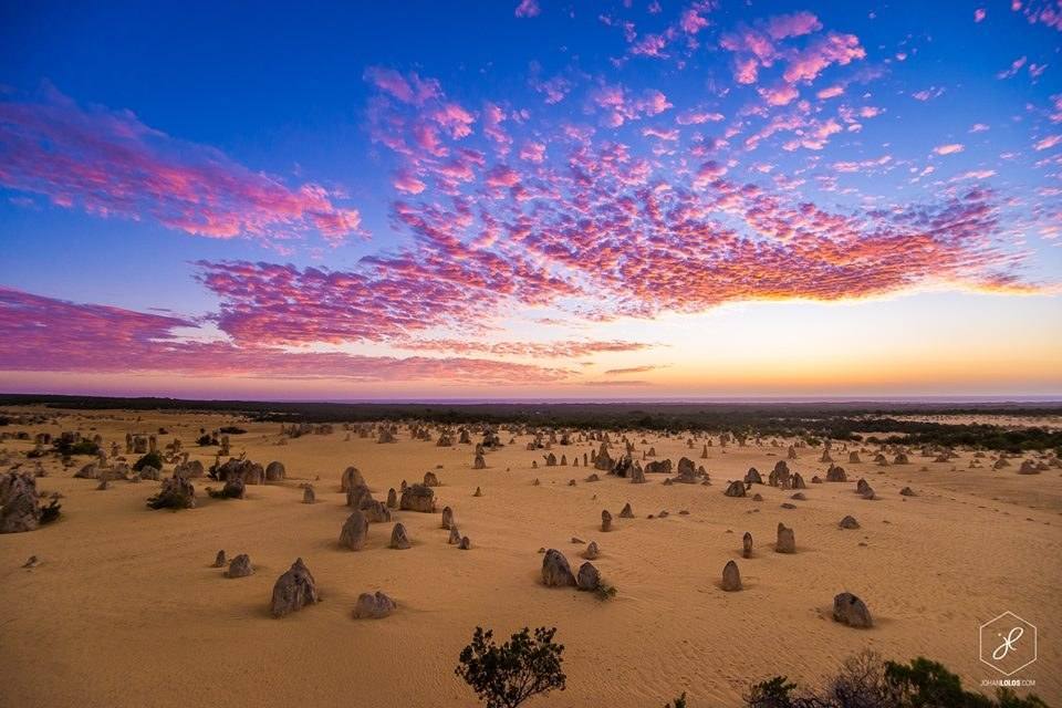 This is The Pinnacles in Western Australia