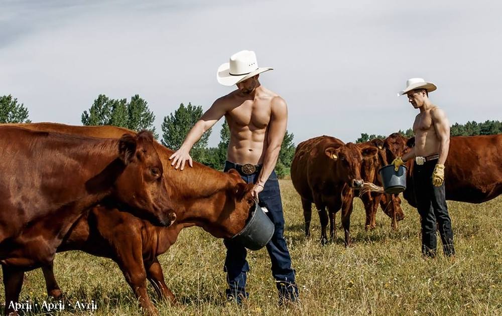 Cowboy Calendar : Grooms 2015