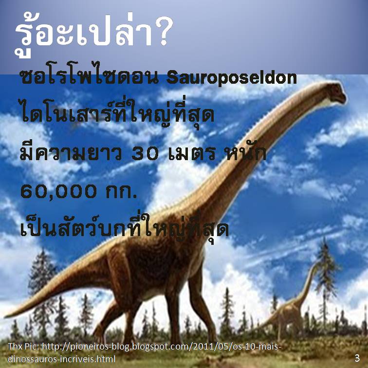 รู้อะเปล่า?