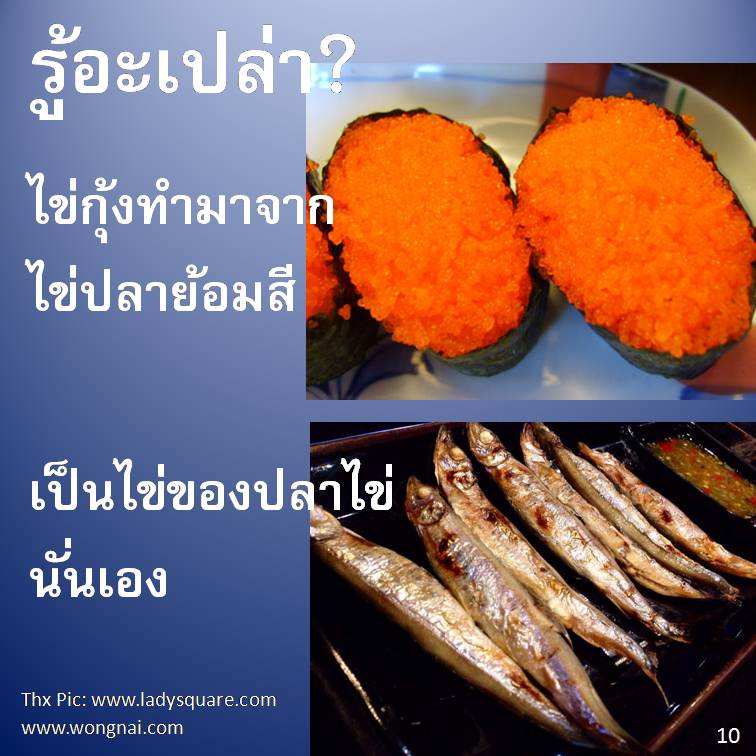 รู้อะเปล่า?