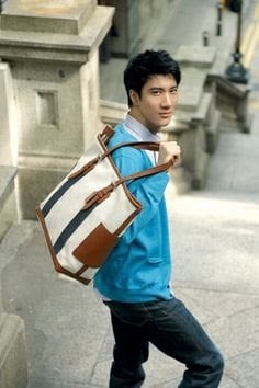 Wang Lee Hom