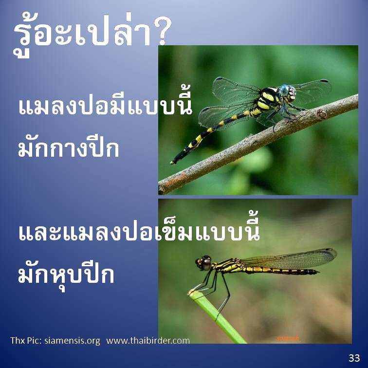 รู้อะเปล่า? V3