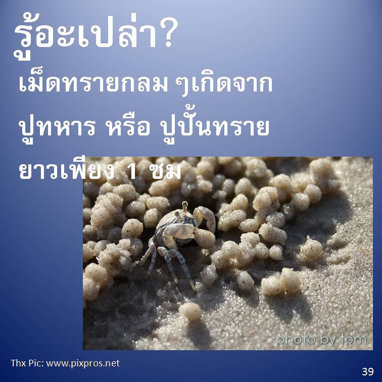 รู้อะเปล่า? V3