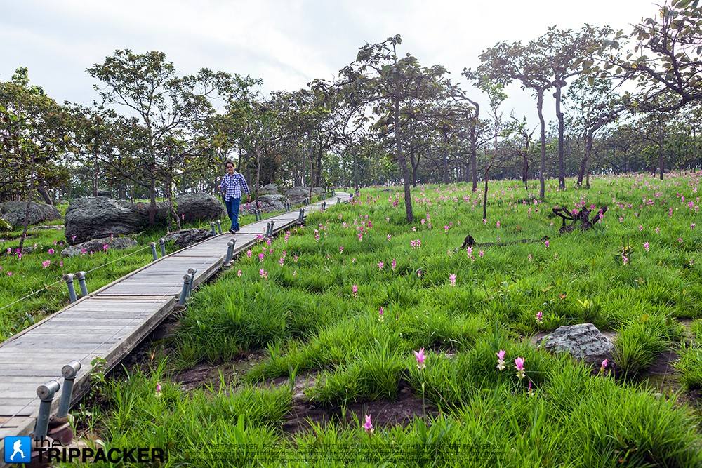 สุดยอด ปอดอีสาน จังหวัด ชัยภูมิ