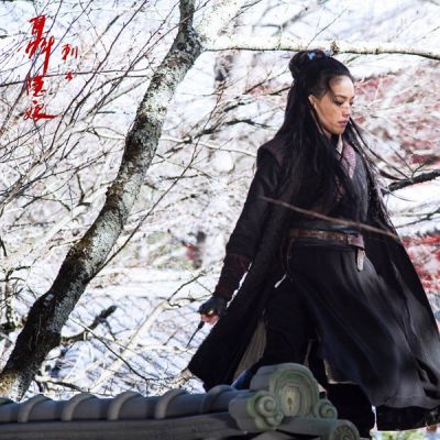 The Assassin 《刺客聂隐娘》 2015 part1