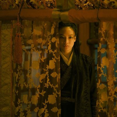 The Assassin 《刺客聂隐娘》 2015 part4