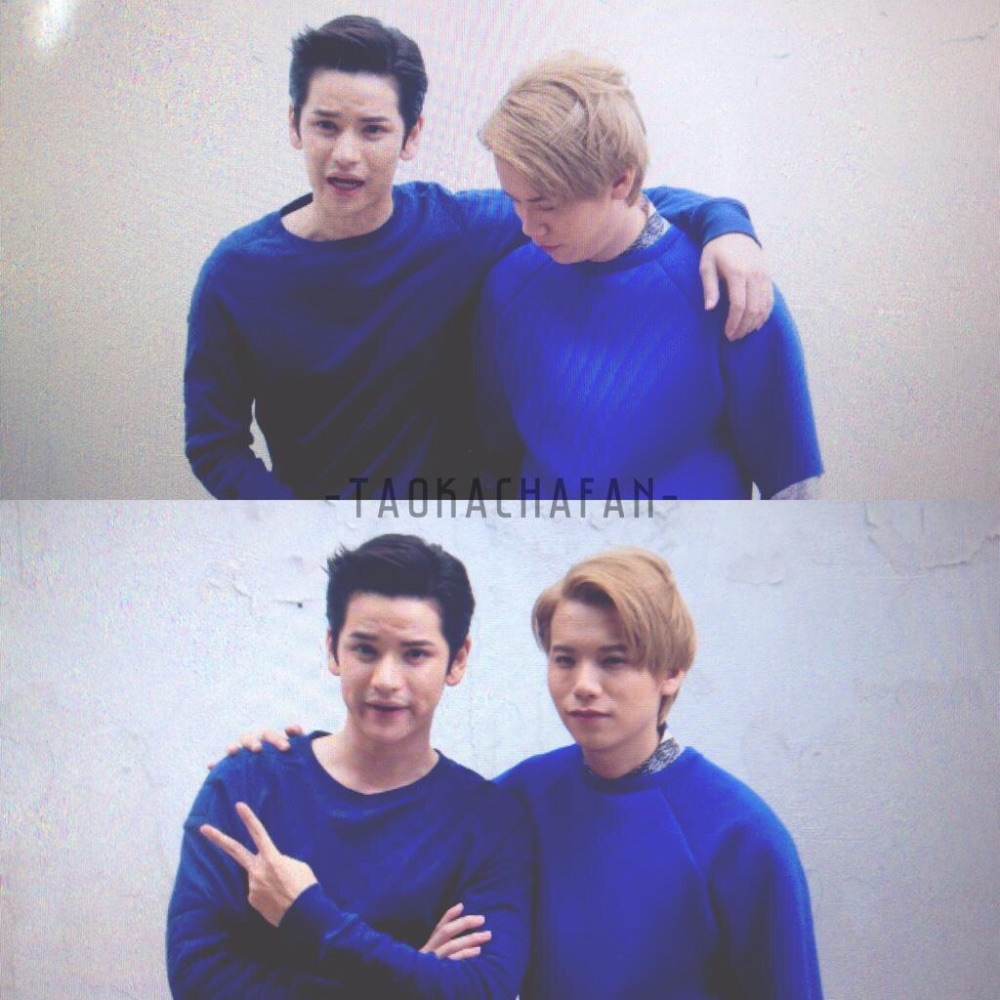 เต๋าคชา