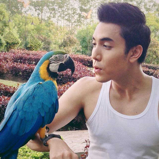 เลียจอ009 ณ บัดนาว