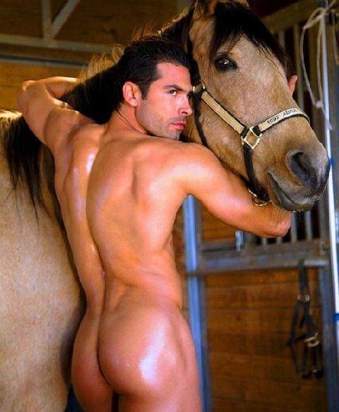 ผู้ชายกับม้า