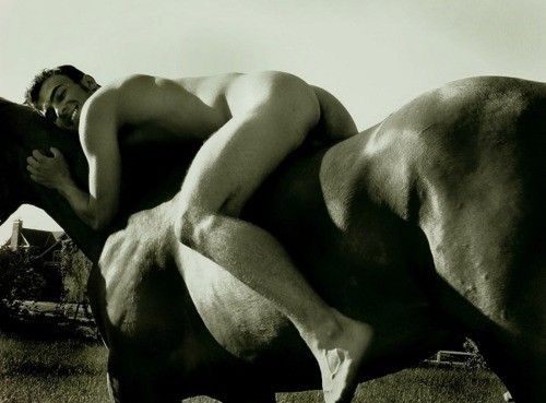 ผู้ชายกับม้า