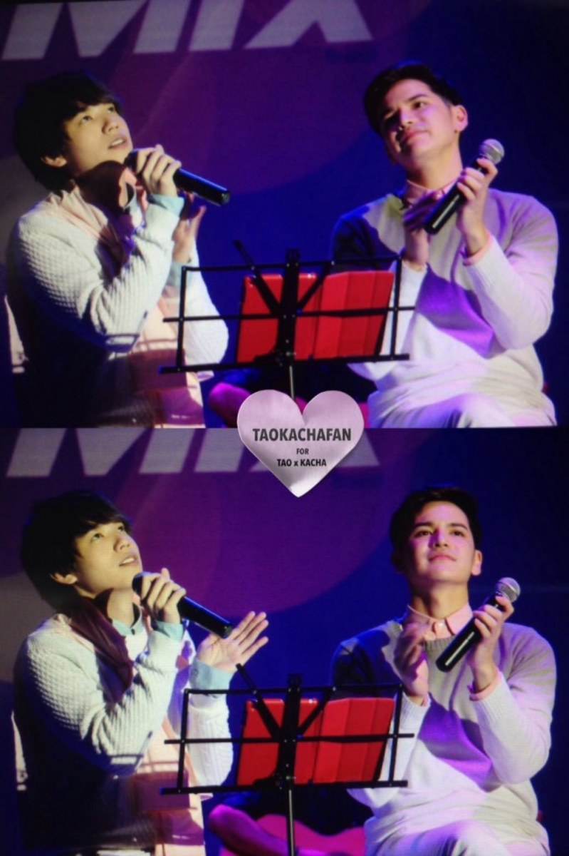 ฉันรัก"เต๋าคชา"